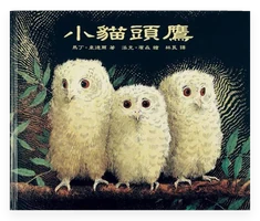 小貓頭鷹 封面
